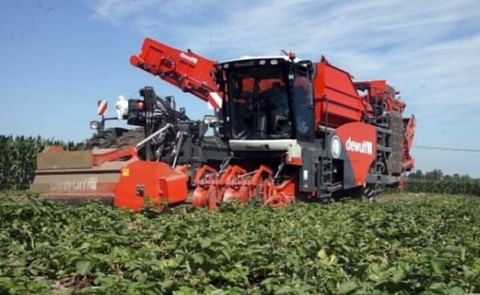 Dewulf: 20th potato harvester of the season delivered to Geert Vansteelant Dewulf: 20th potato harvester of the season delivered to Geert Vansteelant