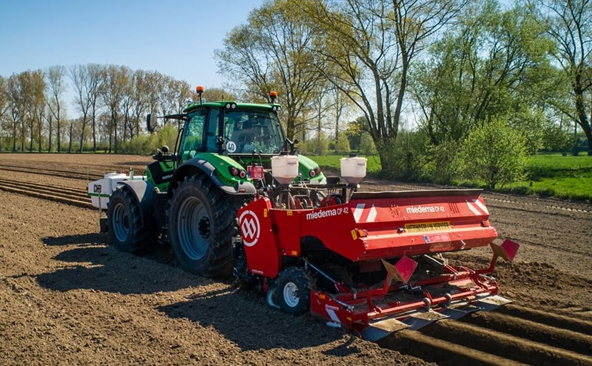 Planting potatoes
