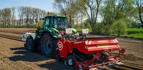 Planting potatoes