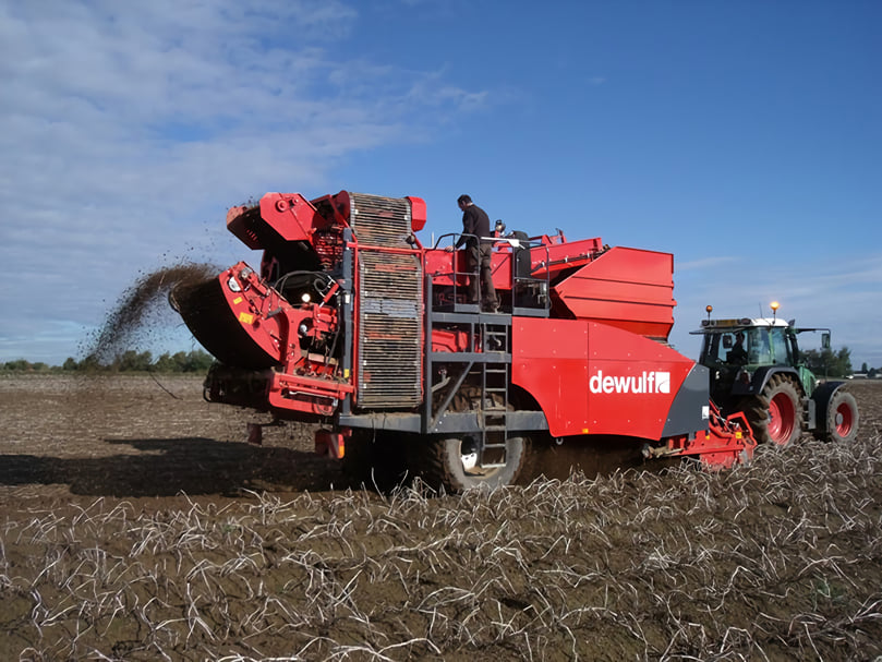 Dewulf RQA2060 - 2-row trailed potato harvester Dewulf RQA2060 - 2-row trailed potato harvester