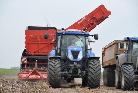 Dewulf RJA2060: 2-row trailed (offset) potato harvest with haulm chopper Dewulf RJA2060: 2-row trailed (offset) potato harvest with haulm chopper