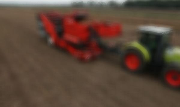 Dewulf is to unveil Torro - a new offset harvester with bunker - at Potato Europe 2017