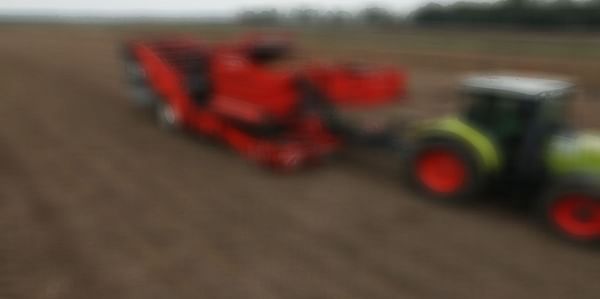 Dewulf is to unveil Torro - a new offset harvester with bunker - at Potato Europe 2017