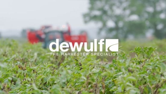 Dewulf new Torro potato harvester in action