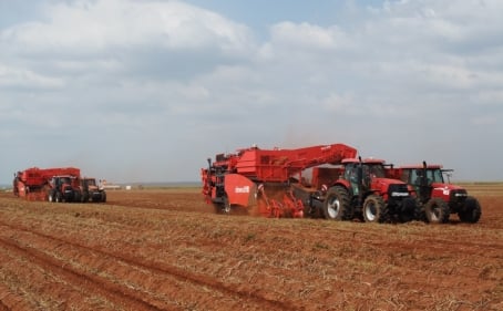 Two Dewulf Potato harvesters model RJA2060 in action for McCain South-Africa Two Dewulf Potato harvesters model RJA2060 in action for McCain South-Africa