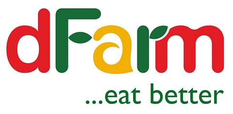 dFarm Inc dFarm Inc