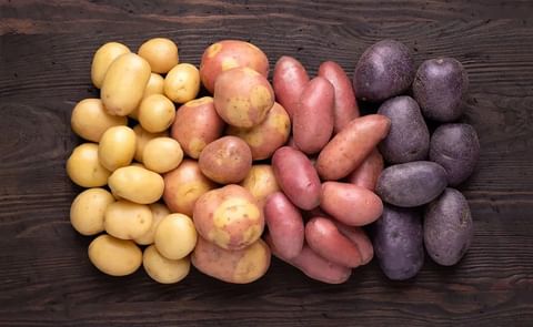 El territorio cultivado con papas ocupa la zona centro (Córdoba y San Luis, principalmente) con el 30%; Tucumán con el 9% y, según el año, entre el 6 y 7% en Mendoza. El territorio cultivado con papas ocupa la zona centro (Córdoba y San Luis, principalmente) con el 30%; Tucumán con el 9% y, según el año, entre el 6 y 7% en Mendoza.