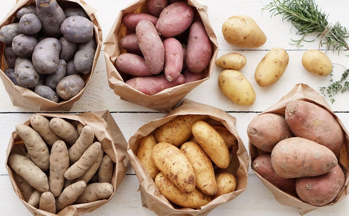 Verschillende soorten aardappels Verschillende soorten aardappels