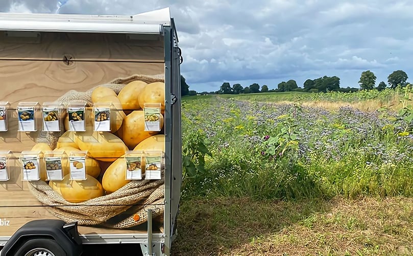 Information on the different potato varieties in Schleswig Different varities in Sortenkiek Schleswing