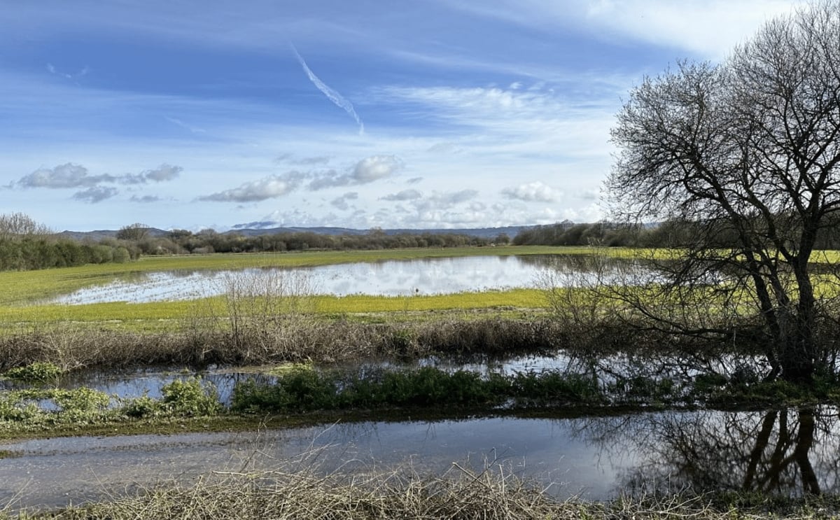 Lluvias en España dificultan el trabajo en el campo Lluvias en España dificultan el trabajo en el campo
