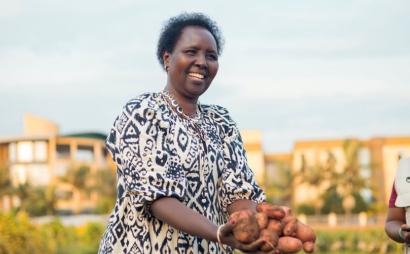 Dinah Borus is an International Advisor to the WPC and an Agricultural Scientist at the International Potato Center (CIP).
Dinah Borus is an International Advisor to the WPC and an Agricultural Scientist at the International Potato Center (CIP).