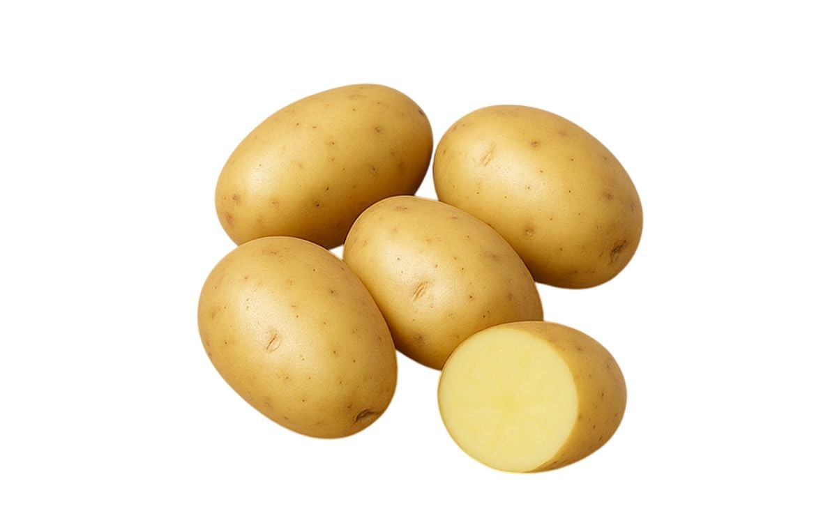 DIONE DIONE