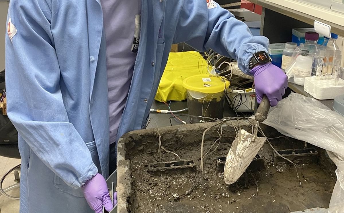 Working in the lab, Northwestern alumnus Bill Yen buries the fuel cell in soil.