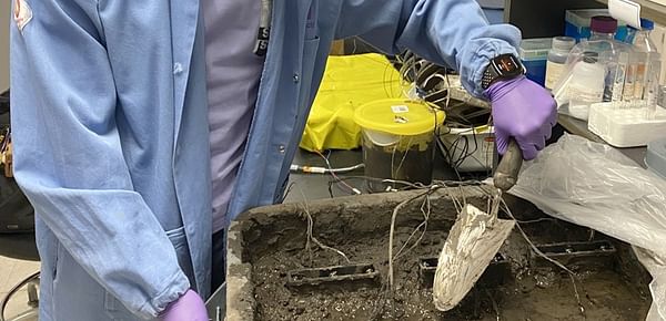 Working in the lab, Northwestern alumnus Bill Yen buries the fuel cell in soil.