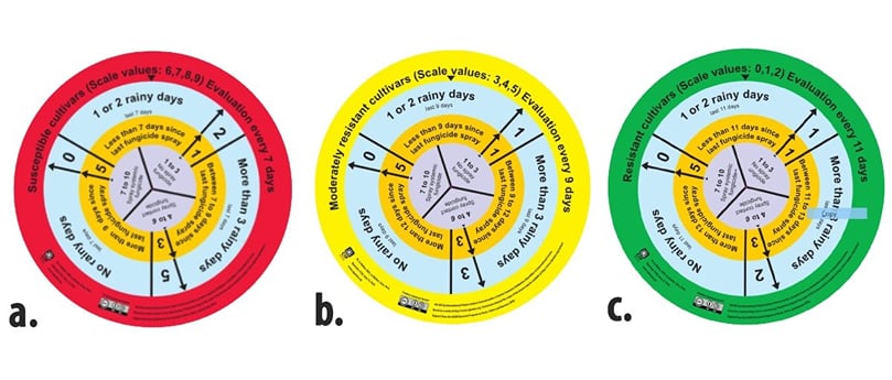 Disc tools for potato late blight control: a) the red disc is for susceptible varieties; b) yellow for moderately resistant varieties; and c) green for resistant varieties. Disc tools for potato late blight control: a) the red disc is for susceptible varieties; b) yellow for moderately resistant varieties; and c) green for resistant varieties.