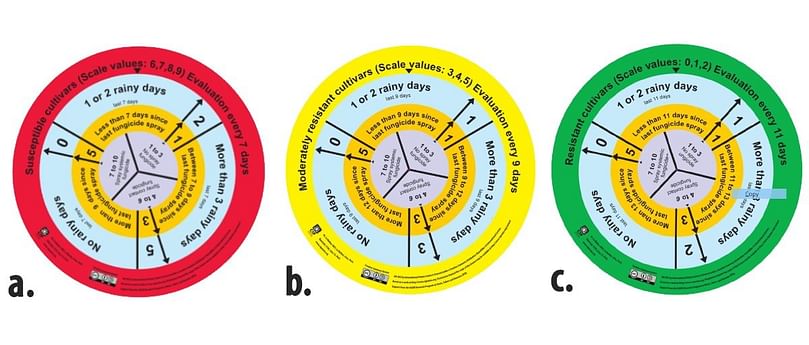 Disc tools for potato late blight control: a) the red disc is for susceptible varieties; b) yellow for moderately resistant varieties; and c) green for resistant varieties. Disc tools for potato late blight control: a) the red disc is for susceptible varieties; b) yellow for moderately resistant varieties; and c) green for resistant varieties.