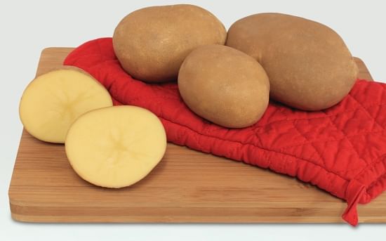 Sierra Gold was named the 2012 Gold Medal Winner for yellow potato varieties by the Oregon Potato Commission. Sierra Gold was named the 2012 Gold Medal Winner for yellow potato varieties by the Oregon Potato Commission.