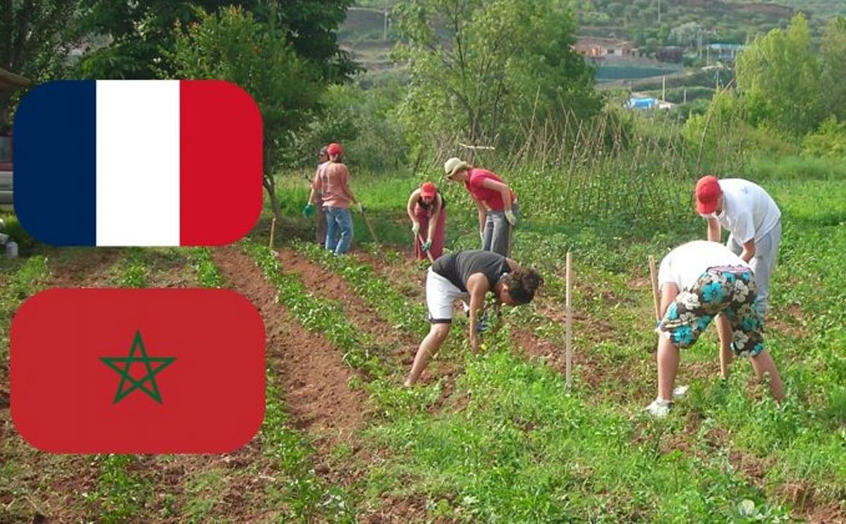 España: importación de frutas y hortalizas extra zona España: importación de frutas y hortalizas extra zona