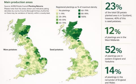 Issues in the UK potato sector require closer relationships Issues in the UK potato sector require closer relationships