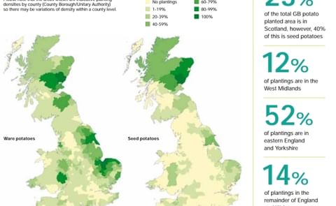 Issues in the UK potato sector require closer relationships Issues in the UK potato sector require closer relationships