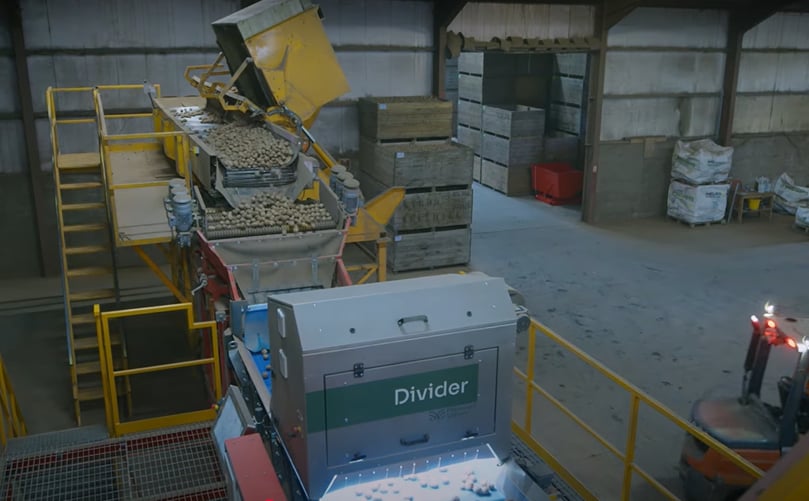 Innovating with Flikweert Vision: At Wellhill Farm, the Divider and QualityGrader are transforming seed potato sorting—boosting efficiency, reducing labour, and ensuring top-tier quality for every tuber Innovating with Flikweert Vision: At Wellhill Farm, the Divider and QualityGrader are transforming seed potato sorting—boosting efficiency, reducing labour, and ensuring top-tier quality for every tuber