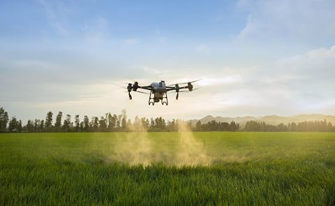 DJI Agras T50 in field DJI Agras T50 in field