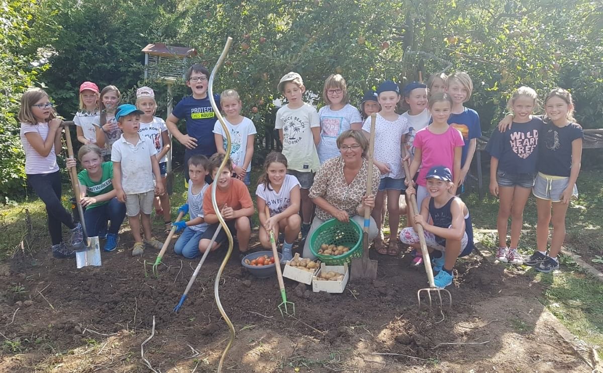 Schönbuchschule Dettenhausen during the potato harvest, DKHV school garden project "Kids to the Tuber"