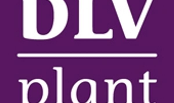  DLV Plant