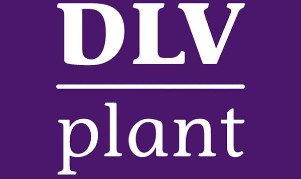 DLV Plant