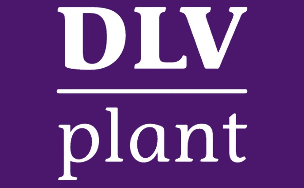 DLV Plant DLV Plant