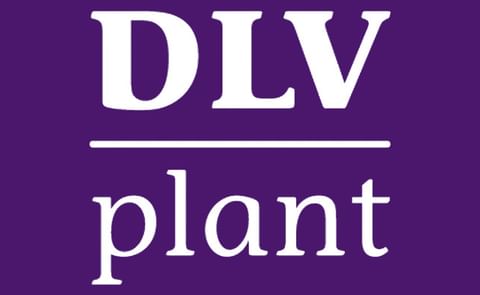 DLV Plant DLV Plant