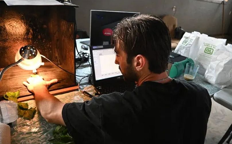 Dominic Levesque analyzing samples that were taken during the 2021 growing season in the Picketa lab. (Courtesy : Picketa Systems)