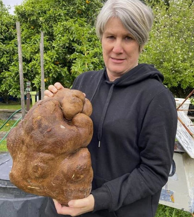 Donna sujetando a Doug, su patata gigante Donna sujetando a Doug, su patata gigante
