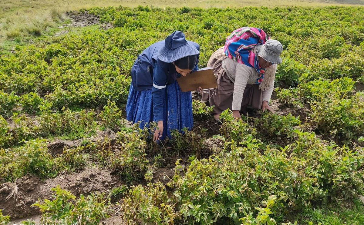 Dos personas verifican cómo están sus cultivos tras las fuertes lluvias