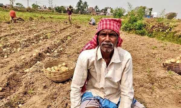 Costly seed potatoes and a low guaranteed selling price (MSP) could spell disaster for West Bengal farmers
