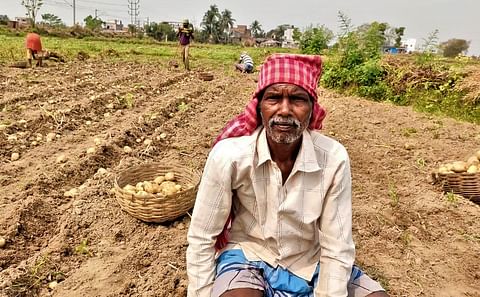 Jayant Soren, 60, a potato cultivator in Hooghly district, said they have spent over Rs 30,000 (~413.55 USD) per bigha (~0.13 ha) on this year's production. (Courtesy: Gurvinder Singh)