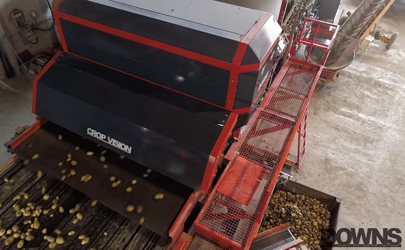 DOWNS CropVision - Trieur optique pommes de terre / Potato optical sorter