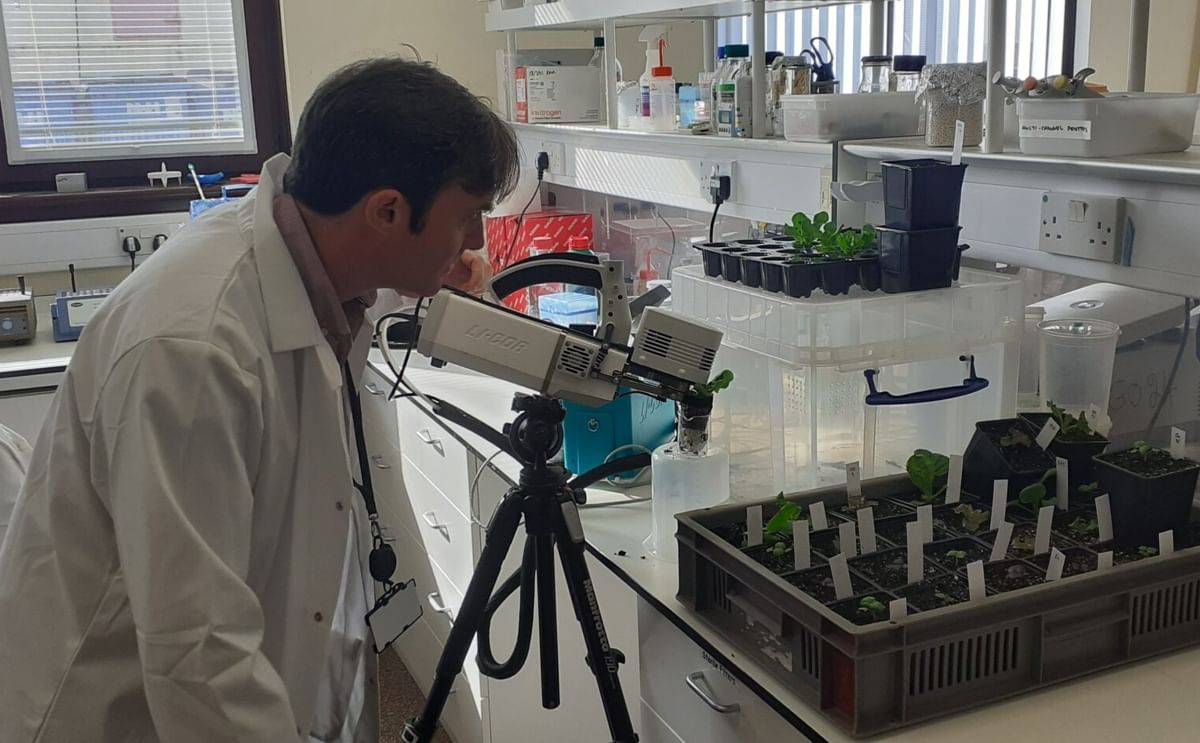 Dr Rob Hancock working in the lab Dr Rob Hancock working in the lab