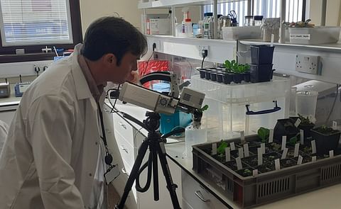 Dr Rob Hancock working in the lab Dr Rob Hancock working in the lab