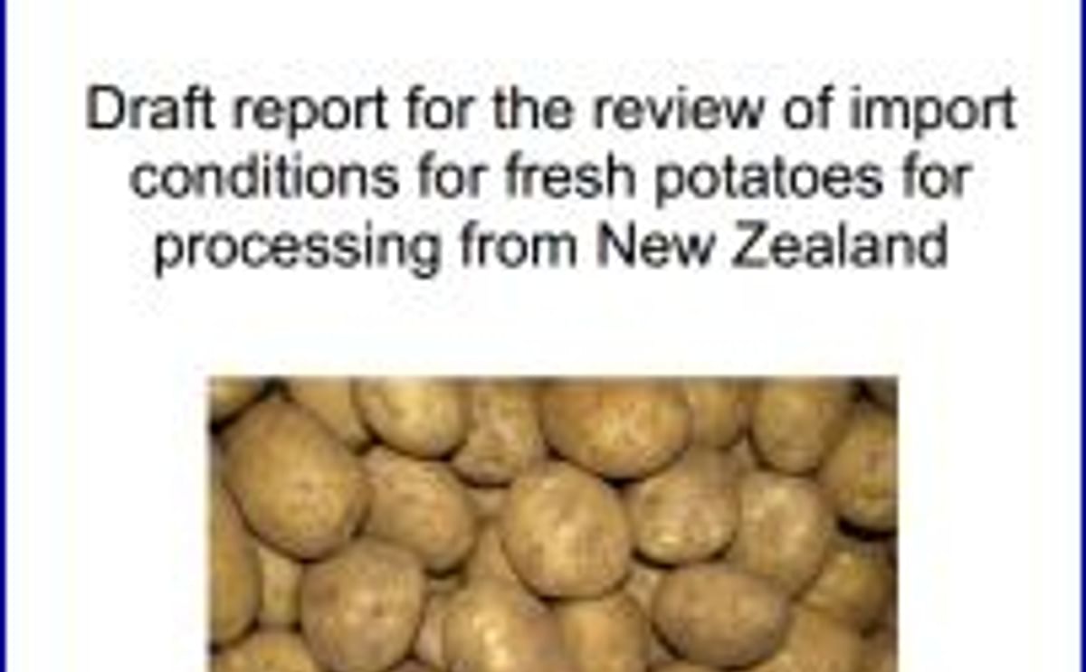 Potatoes New Zealand welcomes step towards fresh potato exports for processing to Australia