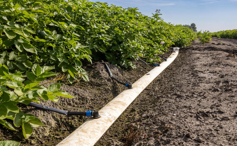 Drip Irrigation