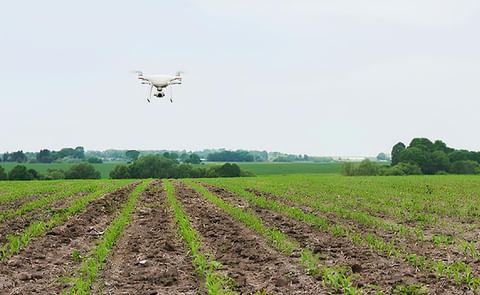 España: limitantes para el uso de drones en el agro España: limitantes para el uso de drones en el agro