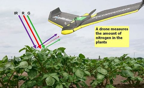 Nitrogen in the crop can be measured using a satellite or manually in the field. However the method that is expected to see significant progress in the coming years is using multispectral cameras and sensors in drones Nitrogen in the crop can be measured using a satellite or manually in the field. However the method that is expected to see significant progress in the coming years is using multispectral cameras and sensors in drones