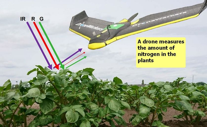 Nitrogen in the crop can be measured using a satellite or manually in the field. However the method that is expected to see significant progress in the coming years is using multispectral cameras and sensors in drones
