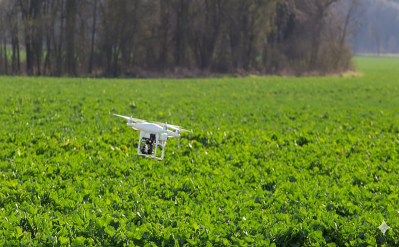Drones Measure Nitrogen Application in Potato Farming Drones Measure Nitrogen Application in Potato Farming