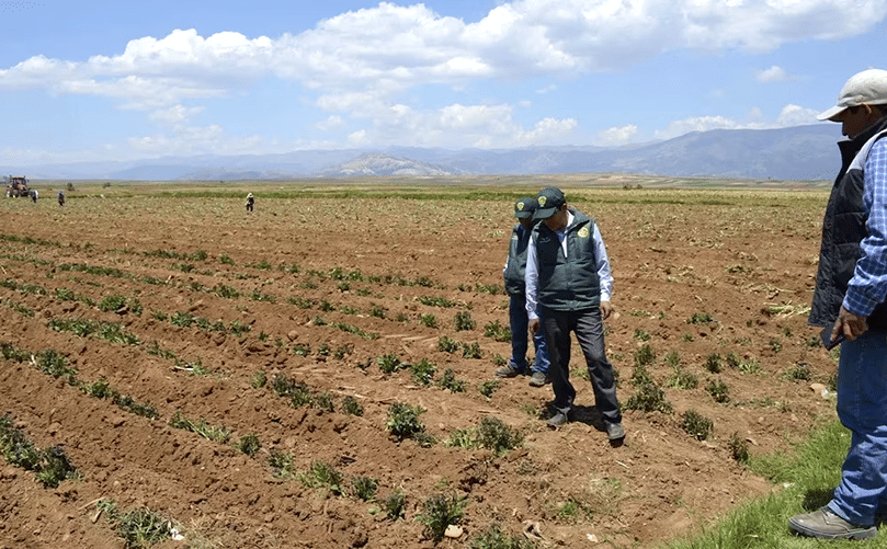 La producción de ciertos alimentos de la canasta básica fue afectada por temporada de sequía a inicios de año.