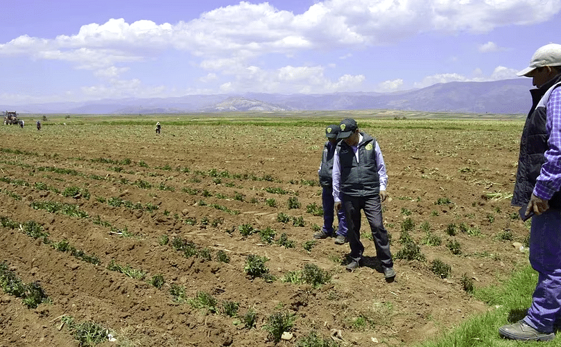La producción de ciertos alimentos de la canasta básica fue afectada por temporada de sequía a inicios de año. La producción de ciertos alimentos de la canasta básica fue afectada por temporada de sequía a inicios de año.