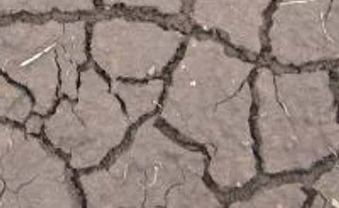 Universidad peruana desarrolla estudios para obtener papas resistentes a la sequía Universidad peruana desarrolla estudios para obtener papas resistentes a la sequía