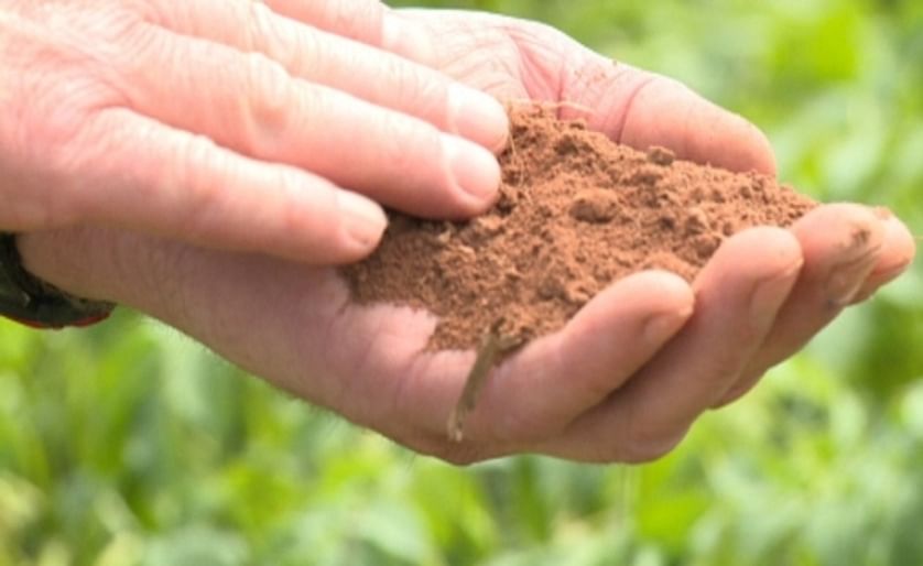 Dry weather could cut PEI crop yields by 15%