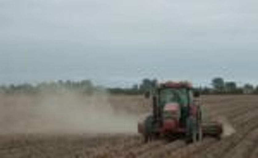 British Columbia potato farmers prefer dry harvest conditions